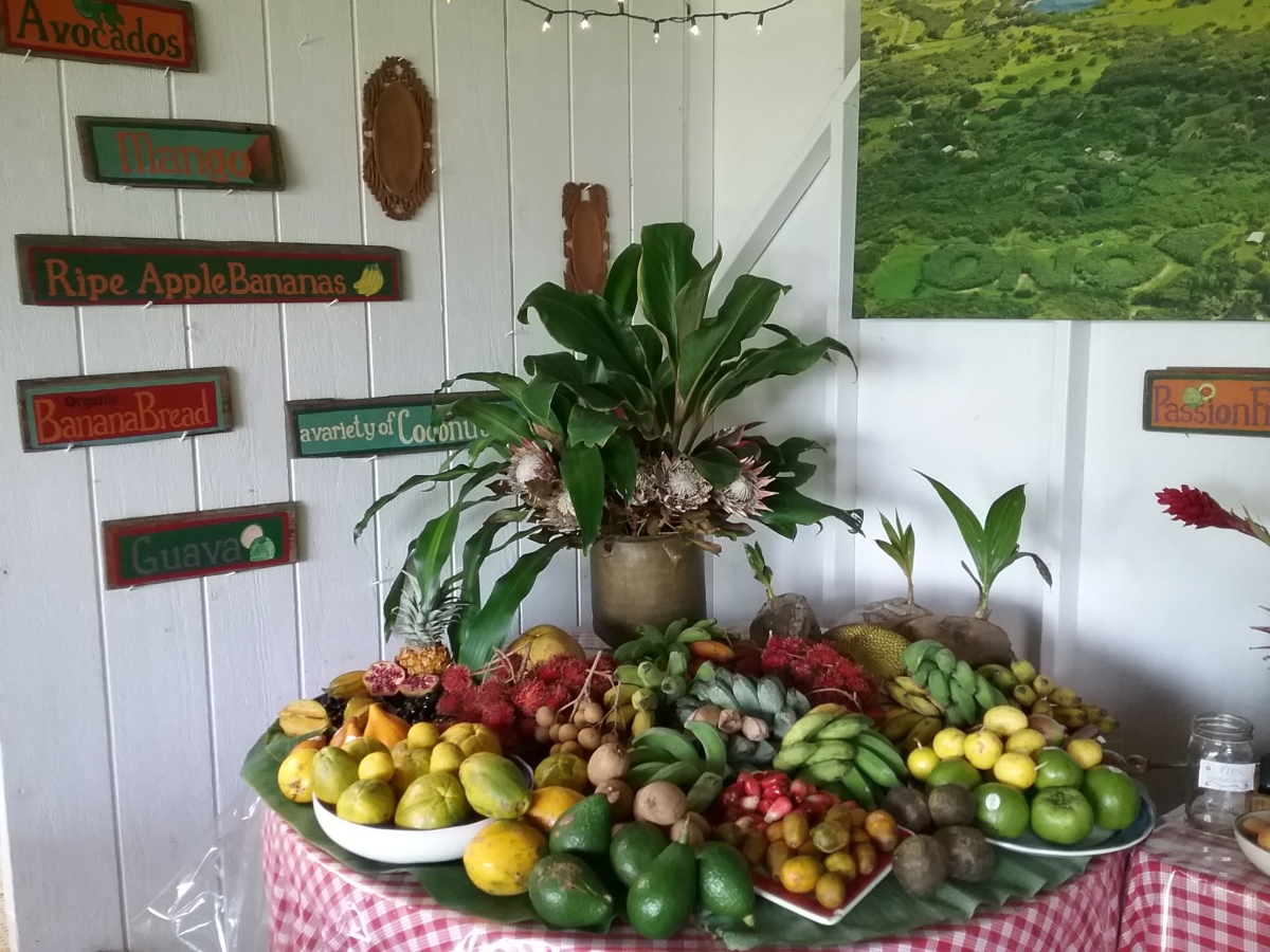 Maui Adventures: Tropical Fruit Tasting in Hana